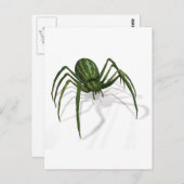 Zelden voorkomende watermeloen spin briefkaart (Voorkant / Achterkant)