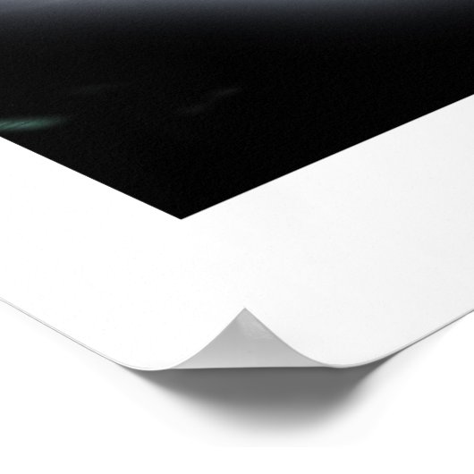 Zelden WITTE RAVEN Fantasy Art Poster (Hoek)