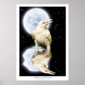 Zelden WITTE RAVEN Fantasy Art Poster (Voorkant)