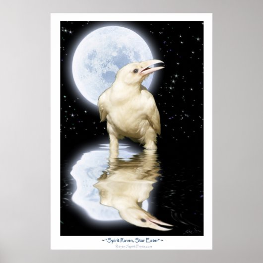 Zelden WITTE RAVEN Fantasy Art Poster (Voorkant)