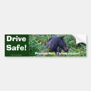Zelden zwarte Pony - Wilde paarden - Engeland Bumpersticker