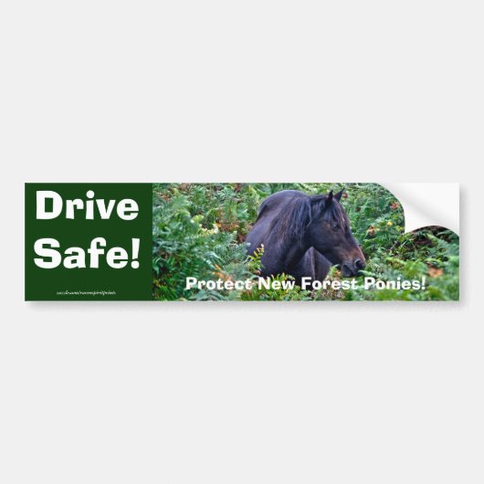 Zelden zwarte Pony - Wilde paarden - Engeland Bumpersticker (Voorkant)
