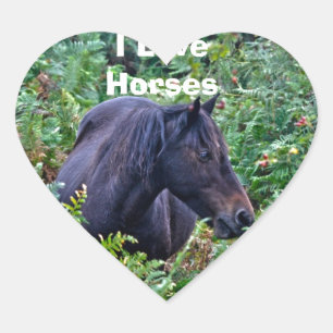 Zelden zwarte Pony - Wilde paarden - Engeland Hart Sticker
