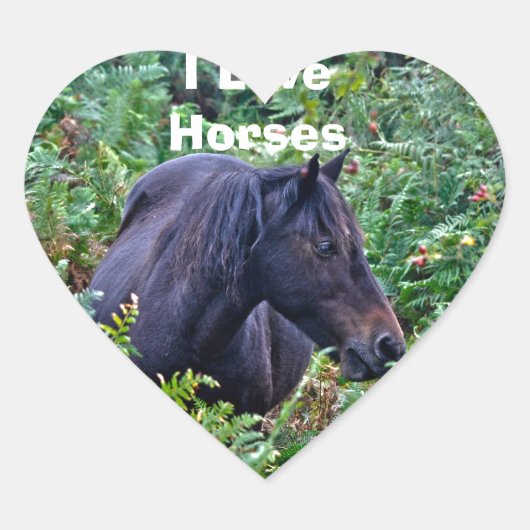 Zelden zwarte Pony - Wilde paarden - Engeland Hart Sticker (Voorkant)