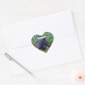 Zelden zwarte Pony - Wilde paarden - Engeland Hart Sticker (Envelop)