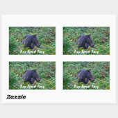 Zelden zwarte Pony - Wilde paarden - Engeland Rechthoekige Sticker (Vel)