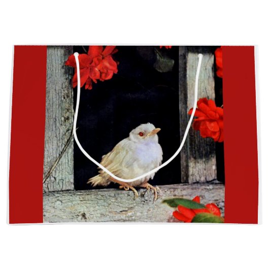 ZELDZAME albino roodborst vogel Groot Cadeauzakje (Voorkant)