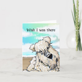 Zeldzame Beach Wheaten Terrier Kaart