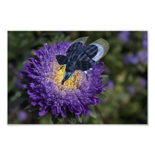 Zeldzame blauwe olifantennetel foto afdruk (Voorkant)