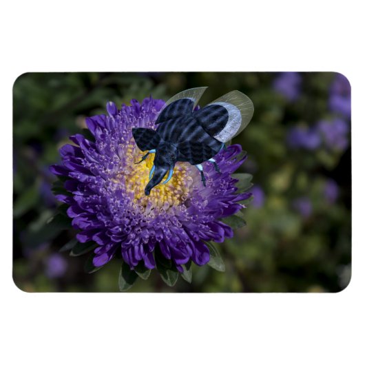 Zeldzame blauwe ruggengraat magneet (Horizontaal)