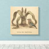 Zeldzame Botanische Roller & Welwitschia  Kunst Canvas Afdruk (Insitu (Houten vloer))