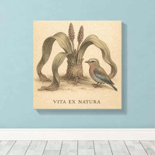 Zeldzame Botanische Roller & Welwitschia Kunst Canvas Afdruk (Insitu (Houten vloer))