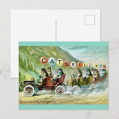 Zeldzame Catskill-bergkatten Briefkaart (Voorkant / Achterkant)