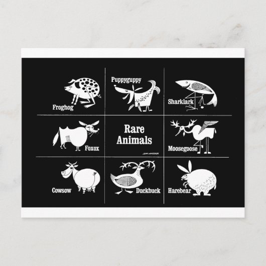 Zeldzame dieren briefkaart (Voorkant)