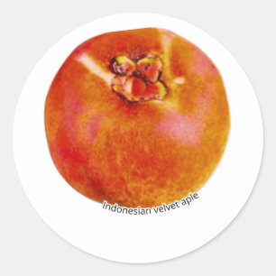 Zeldzame Exotische Bisbul Fluwelen Appel - Indones Ronde Sticker