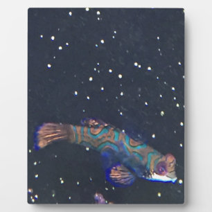 Zeldzame exotische vis fotoplaat