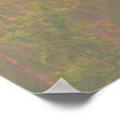 Zeldzame Feet Hippie Quote Wilderness Bossen Poste Poster (Hoek)