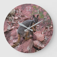 Zeldzame geelvoetige rotswallaby en baby Australië