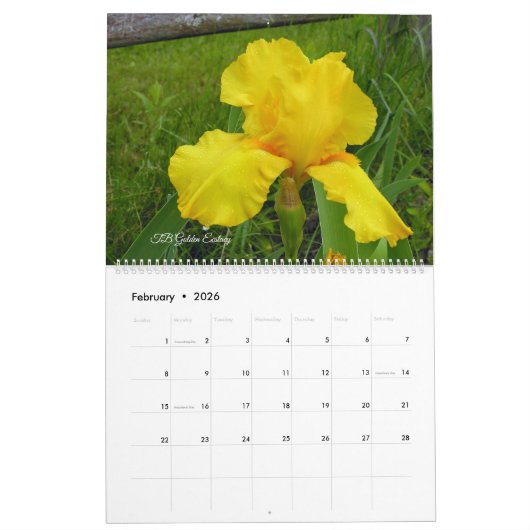 Zeldzame Historische Iris Lovers Kalender (Feb 2026)