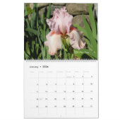Zeldzame Historische Iris Lovers Kalender (Jan 2026)