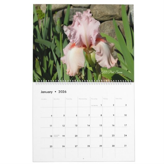 Zeldzame Historische Iris Lovers Kalender (Jan 2026)