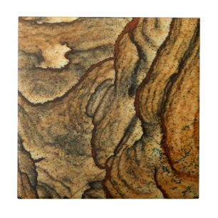 Zeldzame jaspermacrofoto's in landschapsarchitectu tegeltje