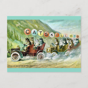 Zeldzame Katskill Mountain Cats Briefkaart