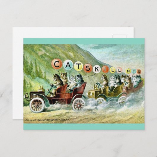 Zeldzame Katskill Mountain Cats Briefkaart (Voorkant / Achterkant)
