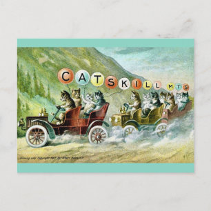 Zeldzame Katskill Mountain Cats Briefkaart
