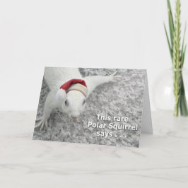 Zeldzame Kerst Eekhoorn Feestdagen Kaart