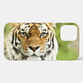 Zeldzame Siberische Tijger: Bedreigd Rust Case-Mate iPhone Case (Achterkant (horizontaal))