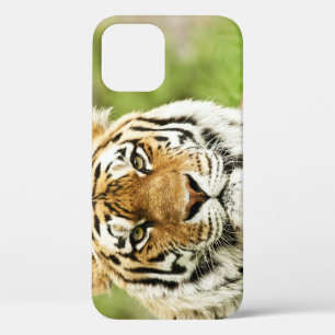 Zeldzame Siberische Tijger: Bedreigd Rust Case-Mate iPhone Case