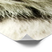 Zeldzame Siberische Tijger: Bedreigd Rust Poster (Hoek)