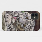 Zeldzame sneeuwknol Big Cat Wildlife iPhone 5 Hoes (Achterkant (horizontaal))