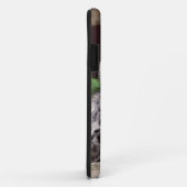 Zeldzame sneeuwknol Big Cat Wildlife iPhone 5 Hoes (Achterkant/rechts)