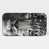 Zeldzame sneeuwknol Big Cat Wildlife iPhone 5 Hoes (Achterkant (horizontaal))