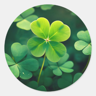 Zeldzame vondst! Lucky Four Leaf Clover Sticker