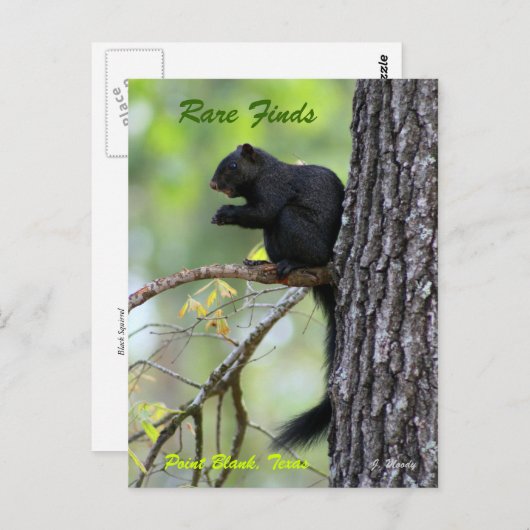 Zeldzame Vondsten Briefkaart (Voorkant / Achterkant)