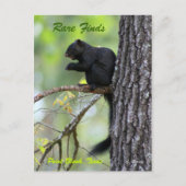 Zeldzame Vondsten Briefkaart (Voorkant)