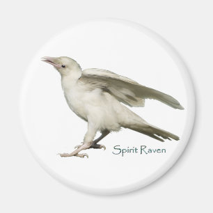 Zeldzame White Raven Photo Spirit Raven II-serie Magneet