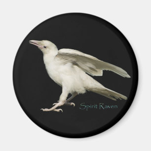 Zeldzame White Raven Photo Spirit Raven II-serie Magneet