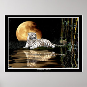 ZELDZAME WIT-TIGER EN MOON Art Prints & Posters