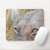 ZELDZAME WITTE LEEUW MUISMAT (Met muis)