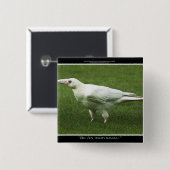 Zeldzame Witte Raven Motivatie Pin Vierkante Button 5,1 Cm (Voorkant /achterkant)