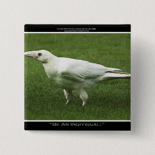 Zeldzame Witte Raven Motivatie Pin Vierkante Button 5,1 Cm