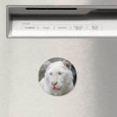 Zeldzame Witte Tijger Magneet (Insitu (Vaatwasser))