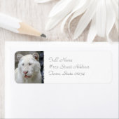 Zeldzame Witte Tijger Mailing Label (Insitu)