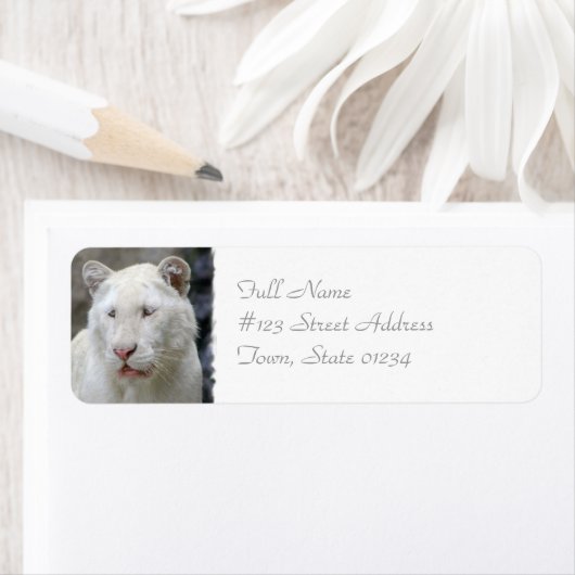 Zeldzame Witte Tijger Mailing Label (Insitu)