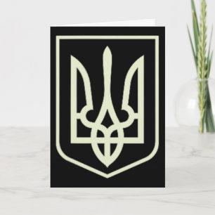 Zelenskyy Oekraïens Leger Shirt Oekraine Militaire Kaart