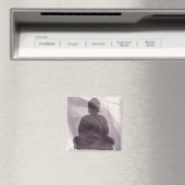 Zelf herkennen 1 magneet (Insitu (Vaatwasser))